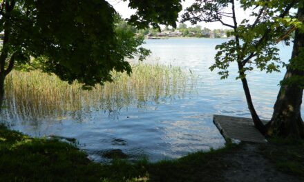 Mazury i Litwa