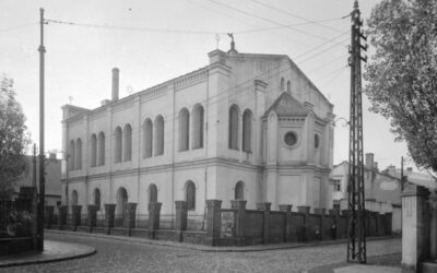 SYNAGOGA WRZESIŃSKA W 3D