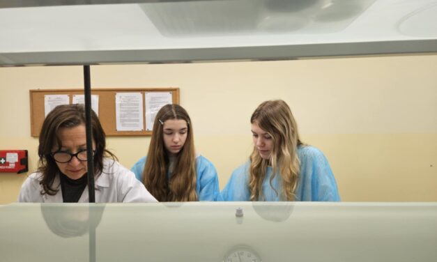 Podsumowanie współpracy z Uniwersytetem Ekonomicznym