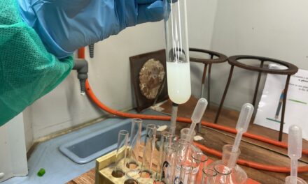 Warsztaty chemiczne na Politechnice Poznaskiej